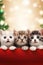 Christmas banner with cute kittens. Group cats with red Santa hats above white banner looking at camera. Christmas