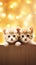 Christmas banner with cute kittens. Group cats with red Santa hats above white banner looking at camera. Christmas