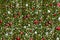 Christmas banner design. Merry Xmas and Happy New Year cover concept. Green fir tree branches, red and white baubles, stars, and s