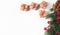 Christmas banner with fir tree branch with vibrunum and wrapped gift boxes on white banner with copy space or place for