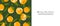 Christmas banner with fresh citrus fruit: mandarin, tangerine, orange, clementine. Winter or summer decoration. Xmas mood. Xmas