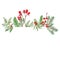 Christmas banner with hand drawn watercolor winter evegreen plants and red berries.