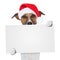 Christmas banner placeholder dog