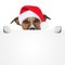 Christmas banner placeholder dog