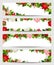 Christmas banners with fir branches and poinsettia flowers.