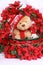 Christmas bear and poinsetta