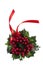 Christmas berries wreath with red ribbon