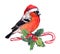 Christmas bird finch in red santa hat on candy cane andmistletoe. Watercolor