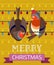Christmas Birds Card with Funny Robin Couple