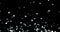 Christmas blinking glitter sparkle stars falling from top, winter holiday xmas with star seamless loop on black