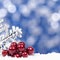 Christmas bokeh background with snowflake and berry square