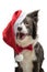 Christmas border collie dog in a red Santa hat on a white background, isolate