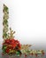 Christmas border Holly ribbons elegant