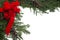 Christmas border with red bow and live pine boughs