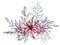 Christmas bouquet of red poinsettia flower, silver plant Dusty Miller, snowberry, waxberry, or ghostberry and emerald