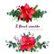 Christmas bouquets arranged from red poinsettia flowers