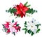 Christmas bouquets arranged from red and white poinsettia, fir b