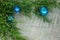 Christmas branches with blue layers on a wooden background