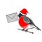 A Christmas bullfinch with a letter in his beak