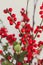Christmas bunch of flower with mistletoe