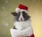 Christmas bunny, santa baby red hat