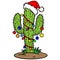 Christmas Cactus