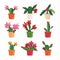 Christmas Cactus (Schlumbergera, Thanksgiving Cactus, Crab Cactus, Holiday Cactus) Pot Plant Icon Set