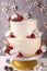 Christmas cake with flowers and chocolate. Wedding details - wedding cake.