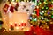 Christmas Candle in Candelabra, Candelabrum over Defocused Room