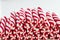 Christmas Candy Canes and Peppermint Sticks