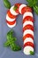 Christmas caprese salad in form of candy cane. Mozzarella and tomato served for New year
