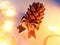 Christmas card with cedar cone closeup