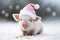 Christmas card with cute newborn santa pig piglet. Holidays, winter and celebration concept