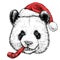 Christmas card with cute Panda bear portrait in red Santa`s hat and with a red funny party whistle. Vector illustration