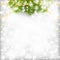 Christmas card with fir branch decorated gold beads garland