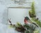 Christmas card with frame ,bird ,branch and pine nuts