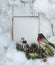 Christmas card with frame ,bird ,branch and pine nuts