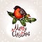 Christmas Card With Hand Drawn Bullfinch