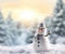 Christmas card with a happy snowman on a blurry forest background. Snow winter background. Christmas card and holiday mood. Copy