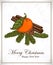 Christmas card with mandarin, vanilla, cinnamon and spruce twigs