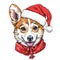 Christmas card with Puppy Pembroke Welsh corgi portrait in red Santa`s hat and scarf. Vector illustration