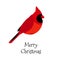 Christmas card with Red cardinal. Vector. Flat design