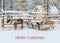 Christmas card, reindeer sleigh waiting for Santa, text Merry Christmas