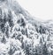 Christmas card with snowy mountains landscape in winter, monochrome photograph for art prints and printable design