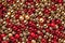 Christmas card. Wallpaper of red and gold baubles. Top view