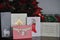 Christmas Cards and Poinsettia Plants