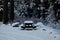 Christmas in the Cascades: Picnic Table, Flocked Trees and Fluffy Snow