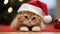 Christmas Cat Cuteness Festive Feline Moments to Cherish