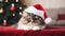 Christmas Cat Cuteness Festive Feline Moments to Cherish