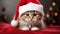 Christmas Cat Cuteness Festive Feline Moments to Cherish